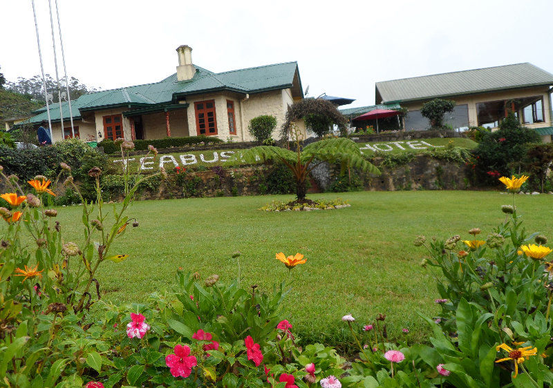 Tea Bush Hotel Nuwara Eliya Exterior foto